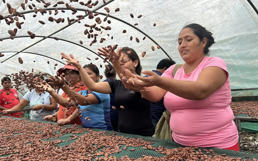 Desde Pichari: OTARI’S y Agrobanco sellan histórica alianza para impulsar la productividad del cacao en el VRAEM