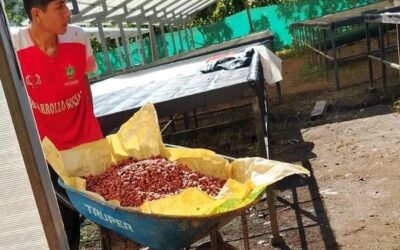 Desde Pichari: Con 13 años y visión de futuro: Aprendiendo la poscosecha que transforma el cacao