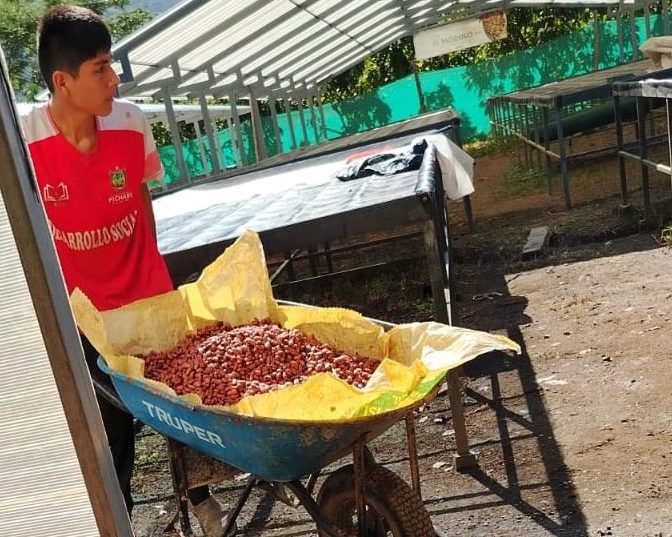 Desde Pichari: Con 13 años y visión de futuro: Aprendiendo la poscosecha que transforma el cacao